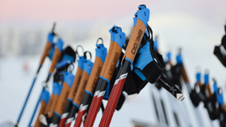 Närbild på en rad längdskidstavar med blå och korkbruna handtag, uppradade i ett vinterlandskap.